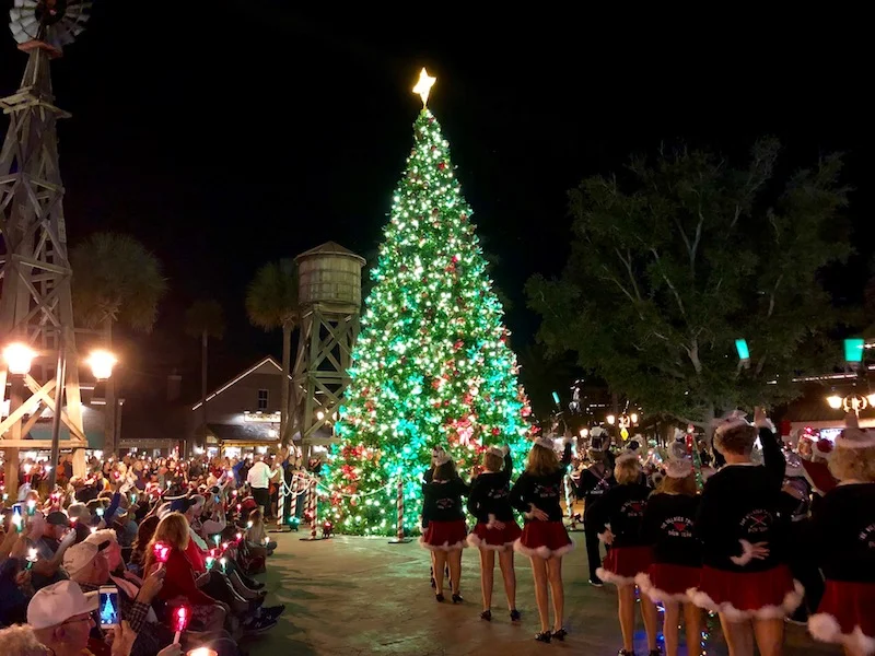 Tree Lighting